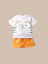 CONJUNTO ROARR